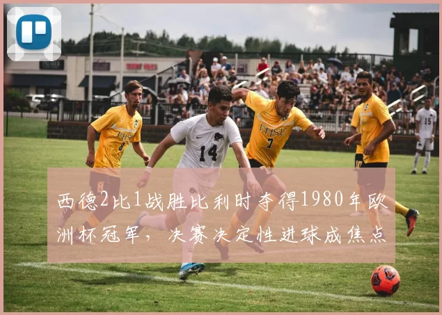 西德2比1战胜比利时夺得1980年欧洲杯冠军，决赛决定性进球成焦点